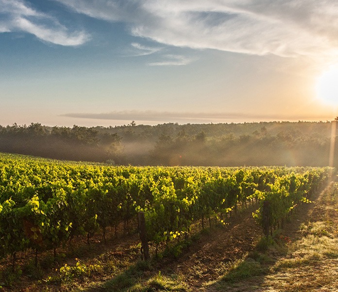 Resor till hela världen med Escapeaway