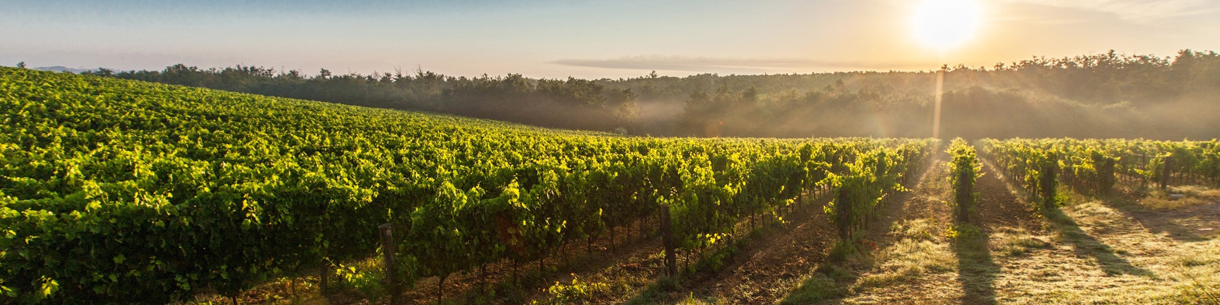 Resor till hela världen med Escapeaway